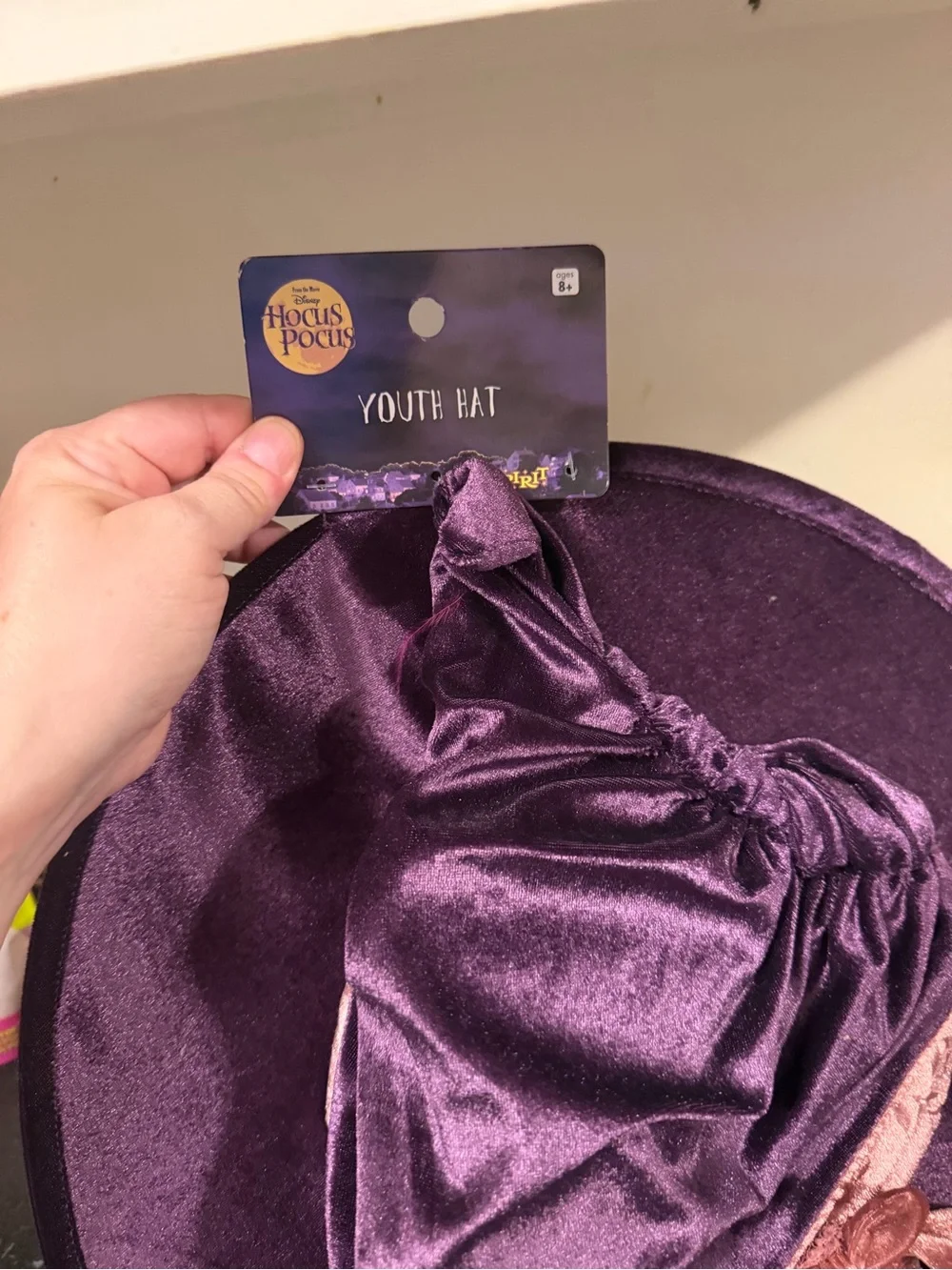 Disney Hocus Pocus Velour Witch Youth Hat Halloween Costume Spirit New